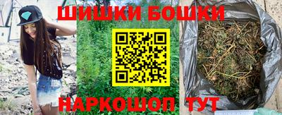 индика Можга