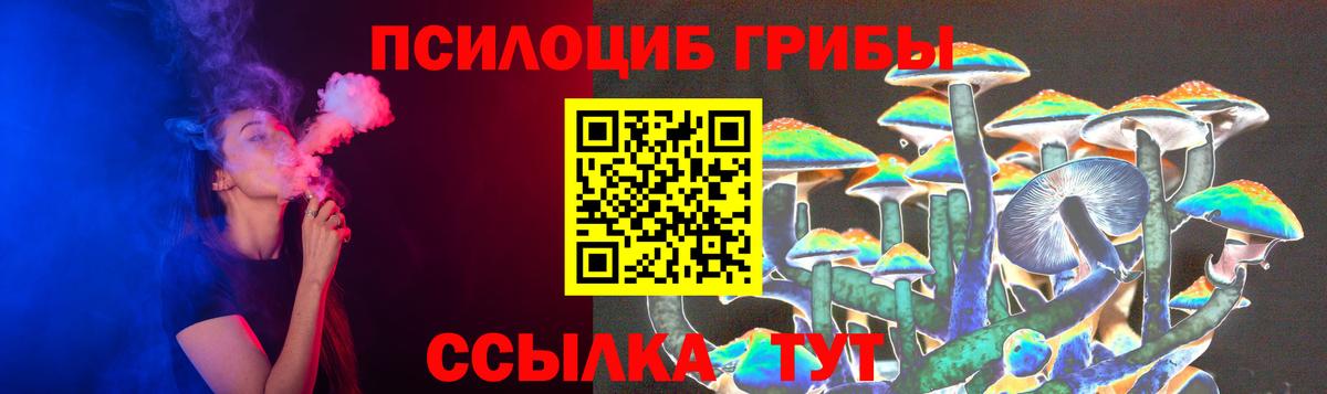 Псилоцибиновые грибы Psilocybine cubensis Протвино